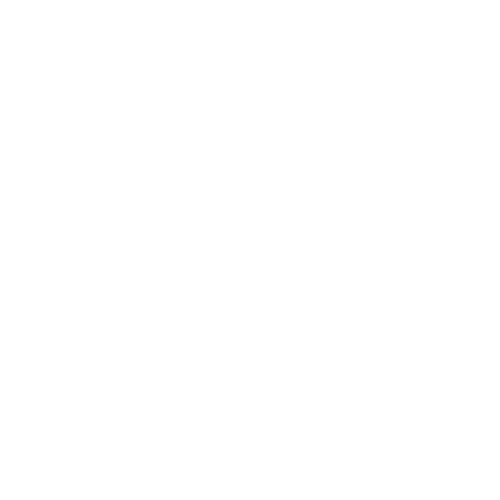 Fisiosentir